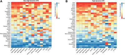 Profiling the Genome-Wide Landscape of Short Tandem Repeats by Long-Read Sequencing